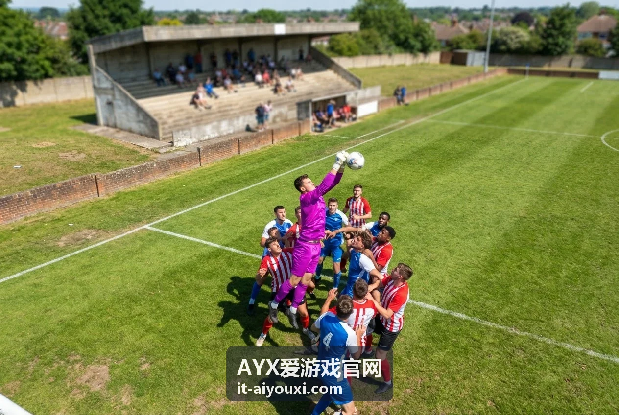 AYX爱游戏官网解决方案